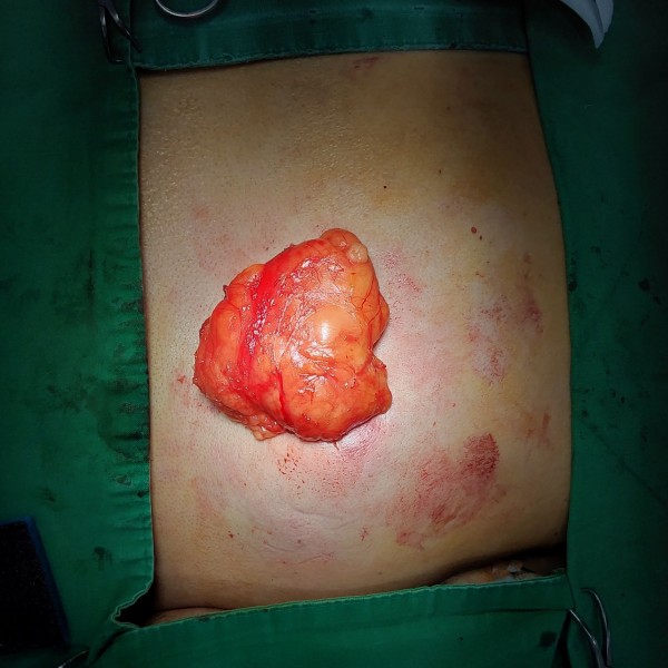b8a59598d33e274cc70f7884a32b7a67_1783760910_6418.jpg